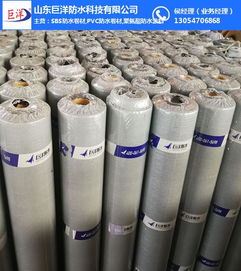 深入解析杭州與山東巨洋耐根穿刺防水卷材 關(guān)鍵技術(shù)、檢測標(biāo)準(zhǔn)與市場應(yīng)用